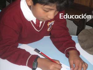 educación