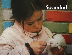 solidaridad